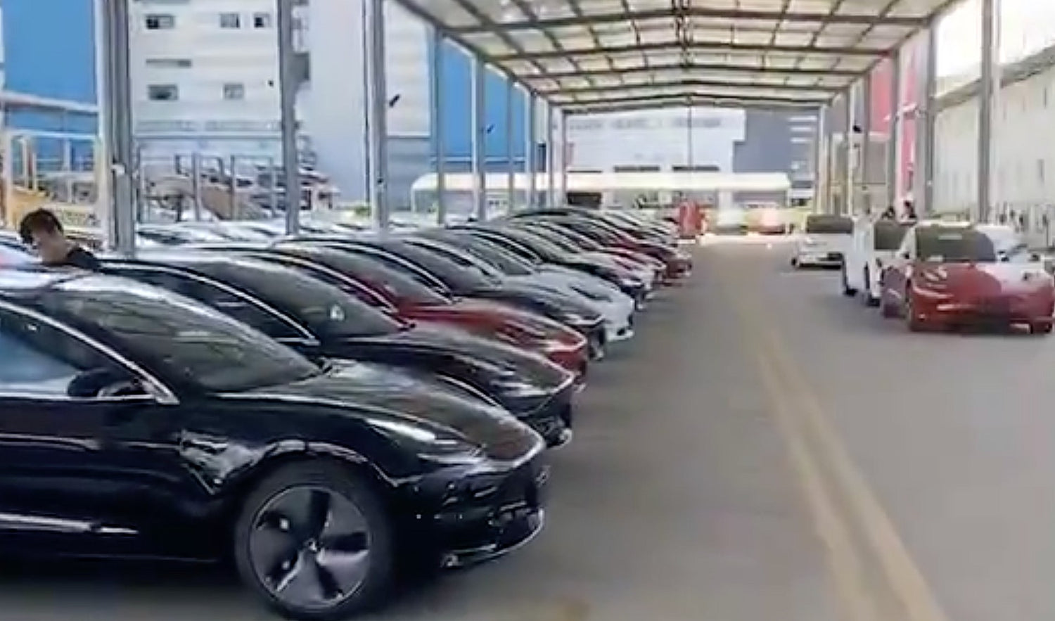 Tesla China Revs Up For Stellar Q3 Delivery Results As Giga Shanghai R
