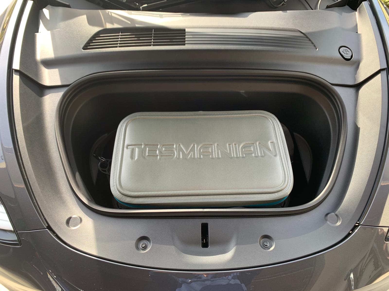 Best cooler for tesla shop model y